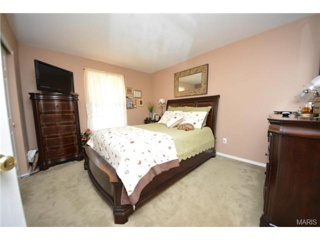313 Tyndale Dr, O'fallon, MO 63366 photo 10