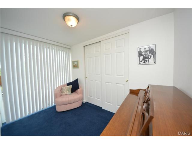 313 Tyndale Dr, O'fallon, MO 63366 photo 14