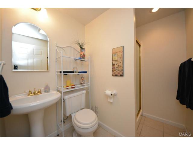 313 Tyndale Dr, O'fallon, MO 63366 photo 16