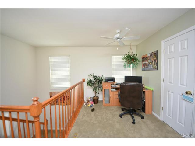 313 Tyndale Dr, O'fallon, MO 63366 photo 9