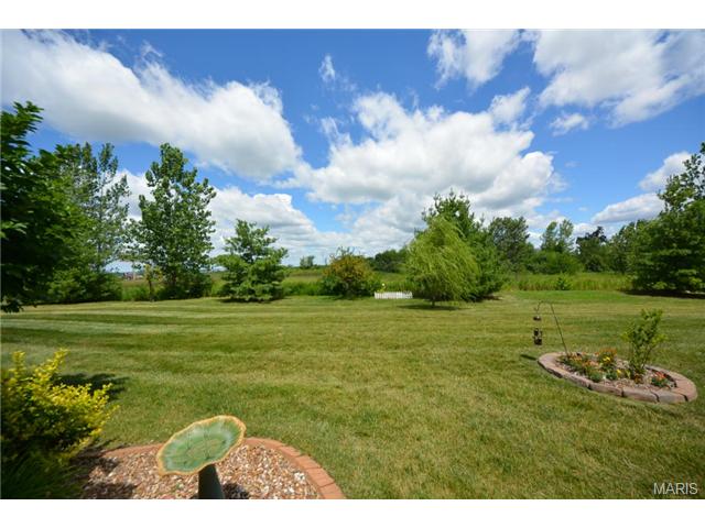 313 Tyndale Dr, O'fallon, MO 63366 photo 18