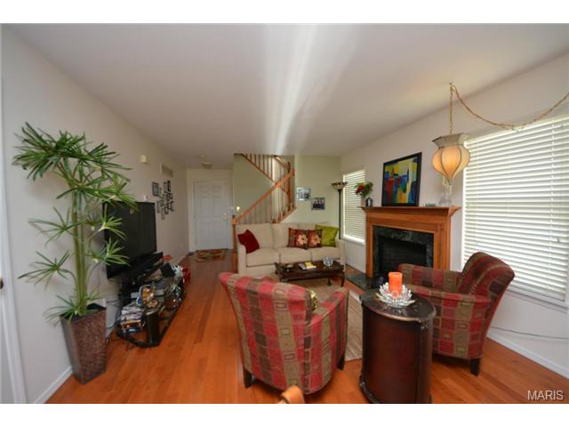 313 Tyndale Dr, O'fallon, MO 63366 photo 8