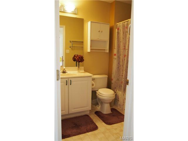 2356 Eagle Frst, Saint Charles, MO 63303 photo 24