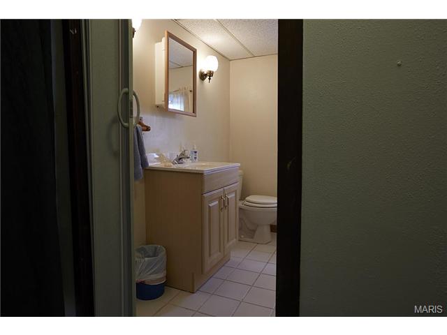5443 Gresham, Saint Louis, MO 63109 photo 22