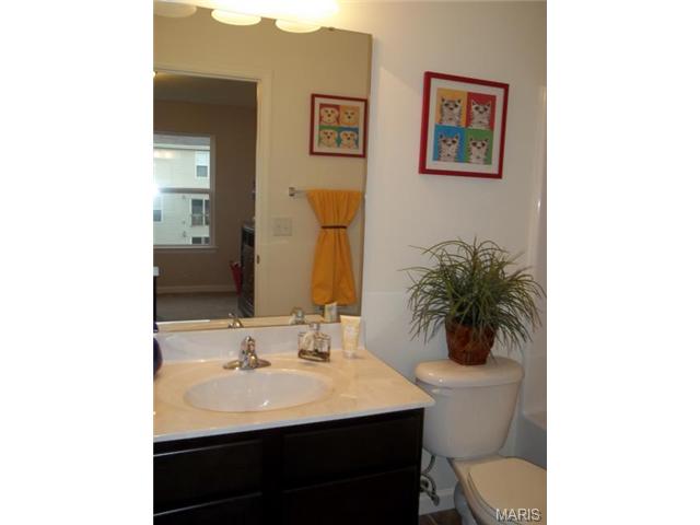 1012 Ashfield Ln, O'fallon, MO 63366 photo 16