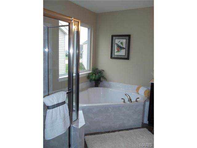 1012 Ashfield Ln, O'fallon, MO 63366 photo 9