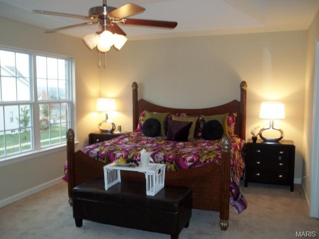 1012 Ashfield Ln, O'fallon, MO 63366 photo 7
