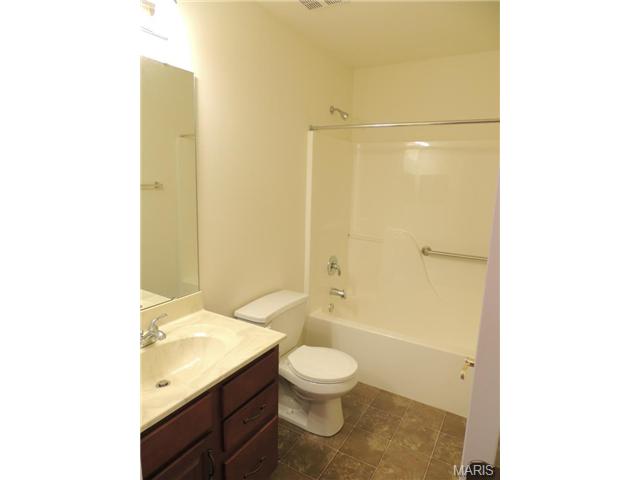 553 Boulder River Dr, O'fallon, MO 63368 photo 21