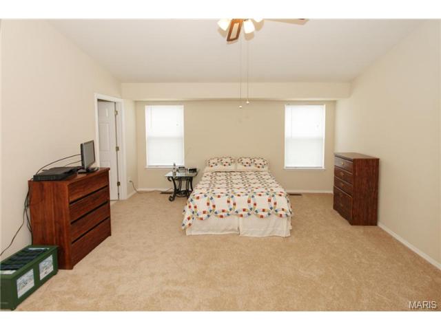 21 Royalltrail Ct, O'fallon, MO 63368 photo 5