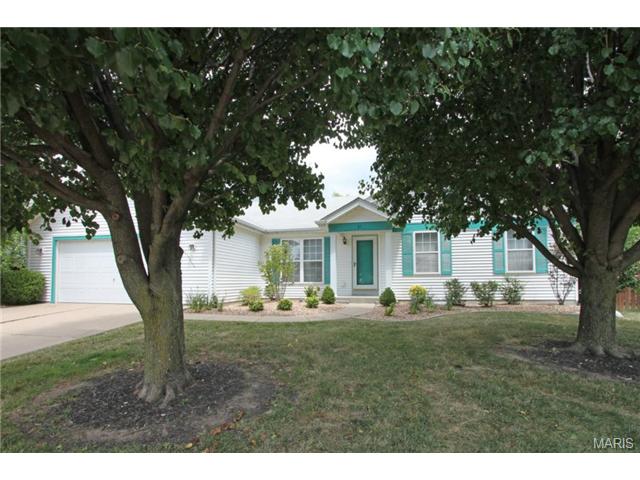 21 Royalltrail Ct, O'fallon, MO 63368 photo 13