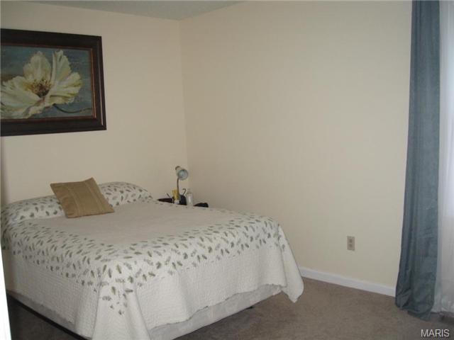 508 Forest Run, Eureka, MO 63025 photo 20