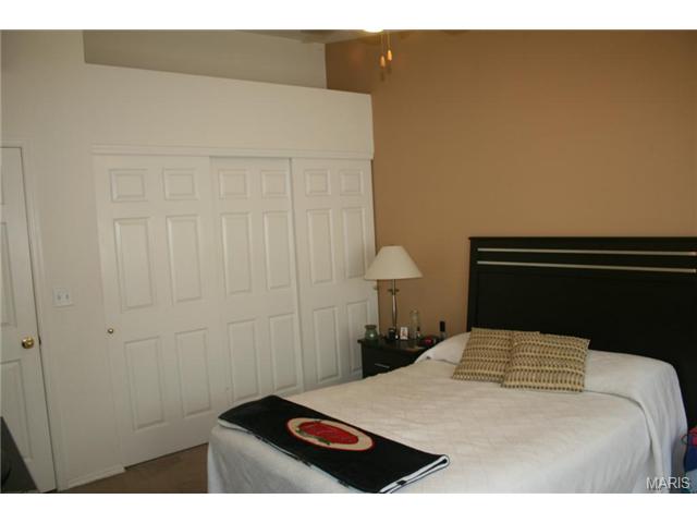 330 Pheasant Pt, O'fallon, MO 63368 photo 8