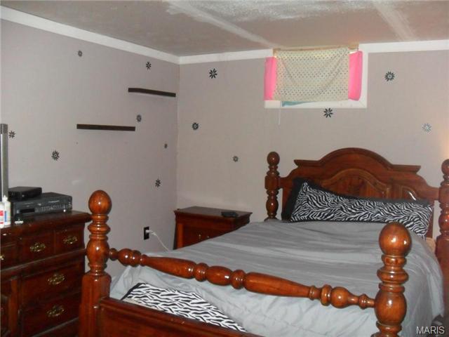 111 Raymond, O'fallon, MO 63366 photo 30