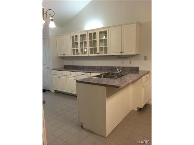 230 Ries, Ballwin, MO 63021 photo 10