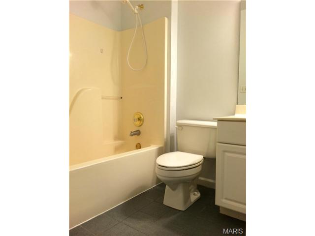 230 Ries, Ballwin, MO 63021 photo 17