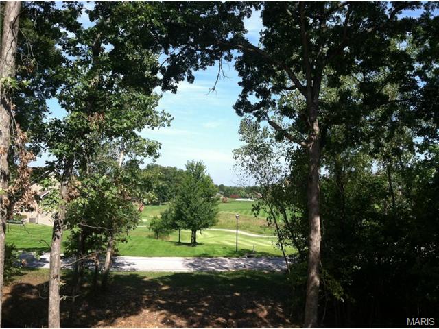 4214 Crosshaven Dr, Weldon Spring, MO 63304 photo 6