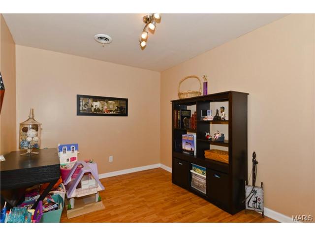 20 Tinsmith Ct, O'fallon, MO 63366 photo 21