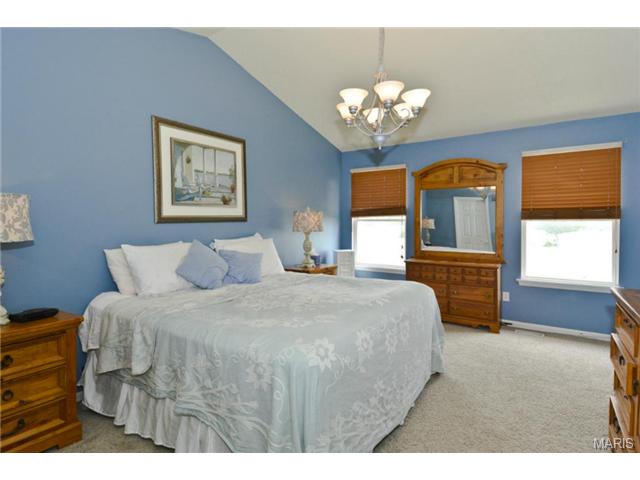 20 Tinsmith Ct, O'fallon, MO 63366 photo 12