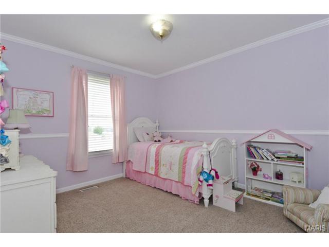 20 Tinsmith Ct, O'fallon, MO 63366 photo 16