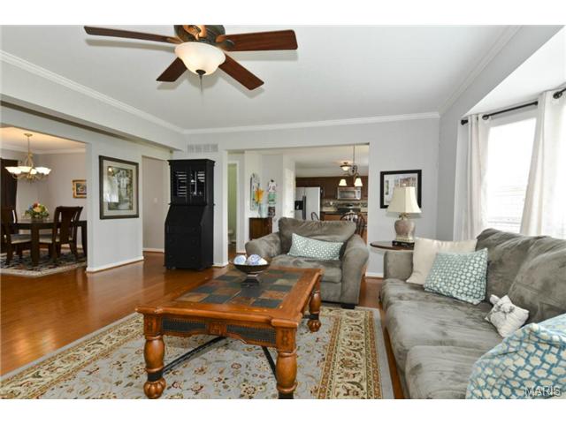 20 Tinsmith Ct, O'fallon, MO 63366 photo 3