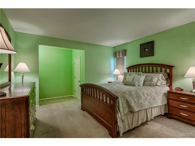 379 Novara Dr, Ballwin, MO 63021 photo 16