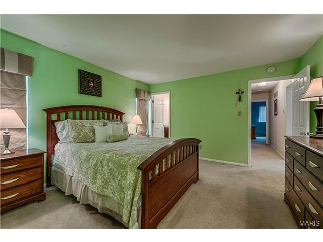 379 Novara Dr, Ballwin, MO 63021 photo 15