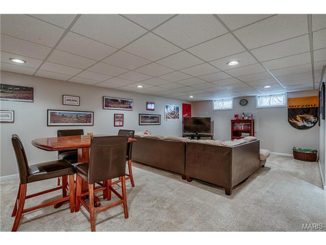 379 Novara Dr, Ballwin, MO 63021 photo 21