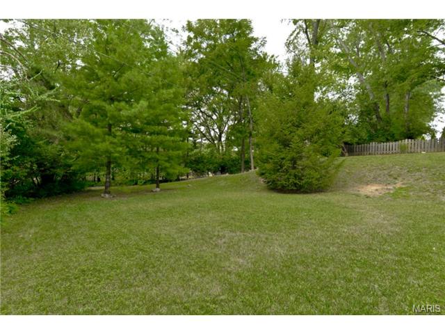 421 Iron Lantern, Ballwin, MO 63011 photo 33