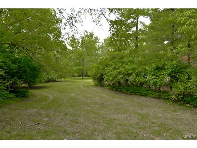 421 Iron Lantern, Ballwin, MO 63011 photo 31