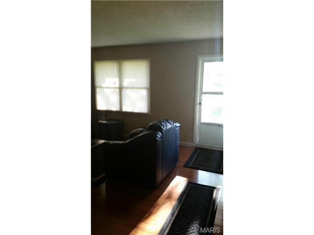 940 Old Bryan Rd, O'fallon, MO 63366 photo 19