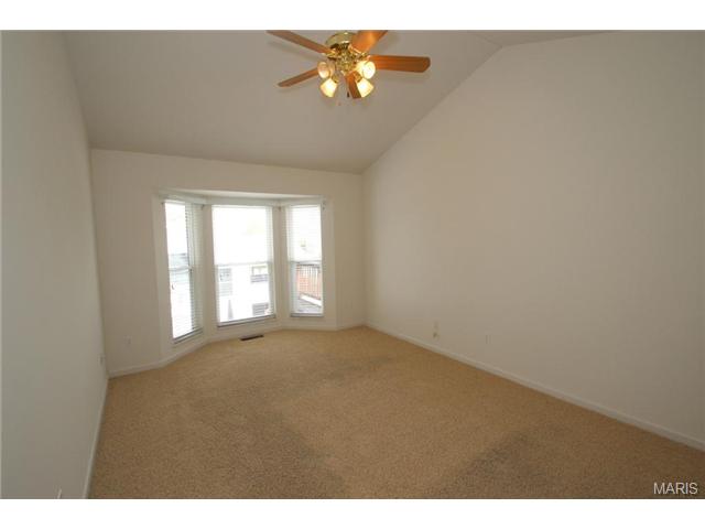 3 Limerick Ln, O'fallon, MO 63366 photo 16