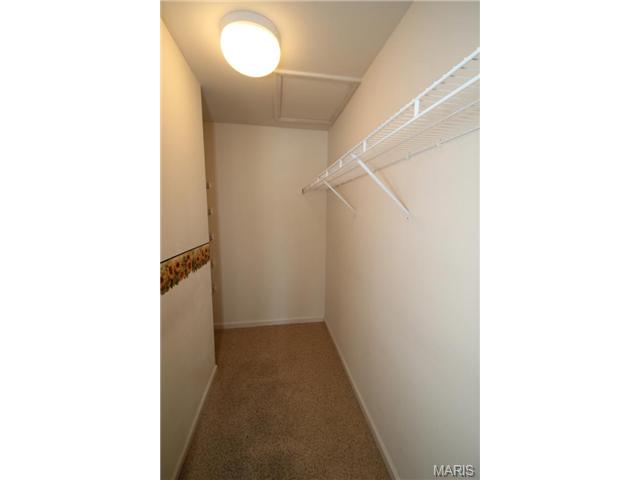 3 Limerick Ln, O'fallon, MO 63366 photo 20