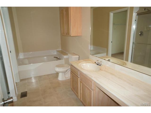 417 Covered Bridge Ln, O'fallon, MO 63368 photo 7