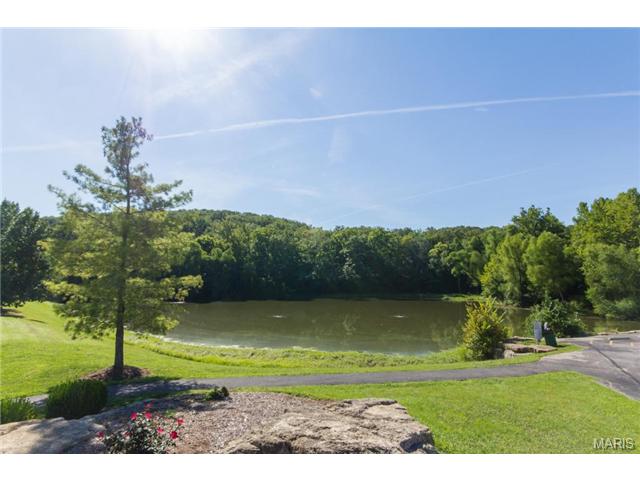 588 Hilltop Townes Dr, Eureka, MO 63025 photo 24
