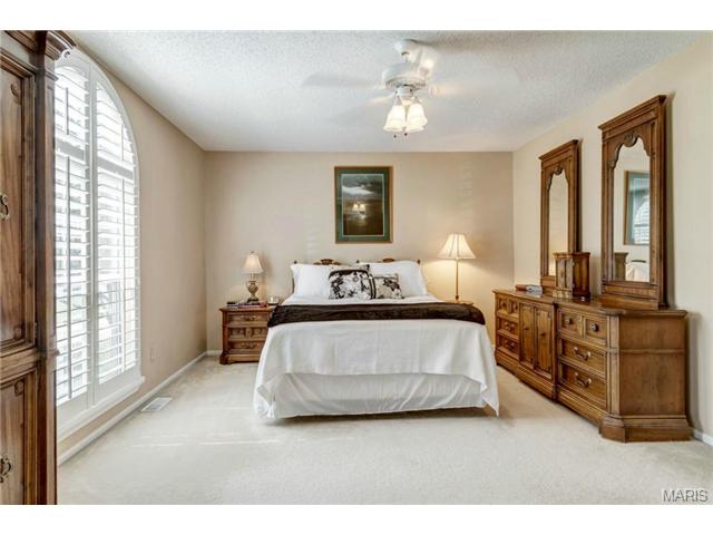 18 Georgetown Cir, O'fallon, MO 63368 photo 14