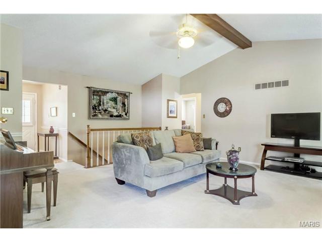 18 Georgetown Cir, O'fallon, MO 63368 photo 6