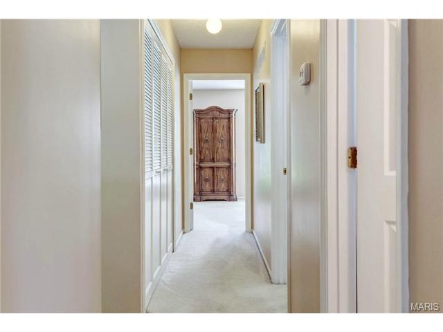 18 Georgetown Cir, O'fallon, MO 63368 photo 38
