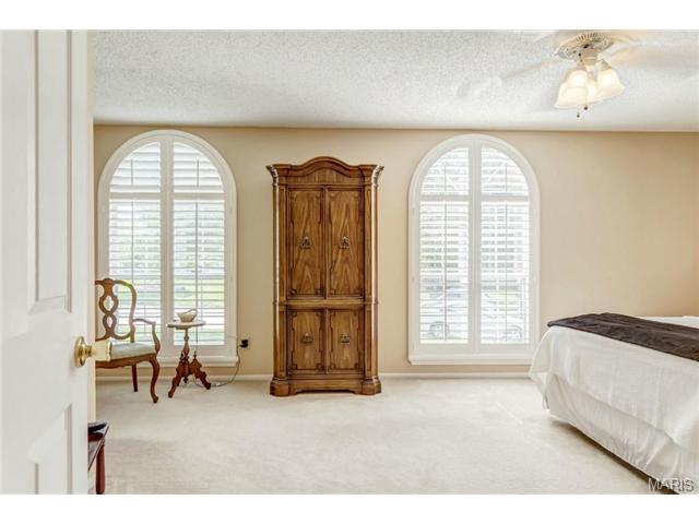 18 Georgetown Cir, O'fallon, MO 63368 photo 13