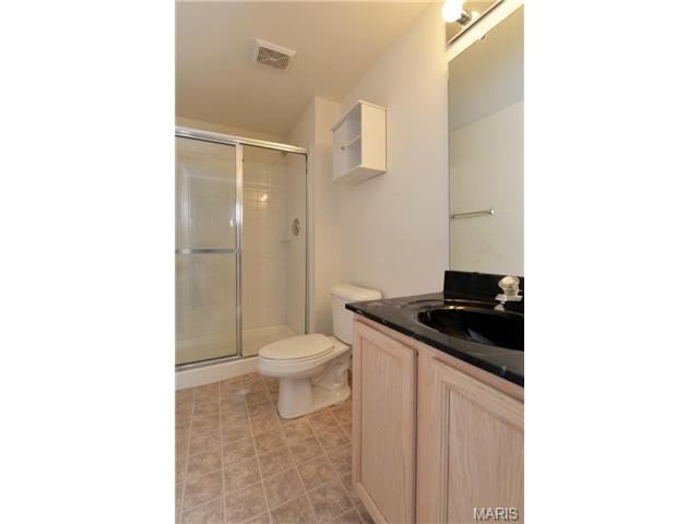 1356 Parkview Ests, Ellisville, MO 63021 photo 17