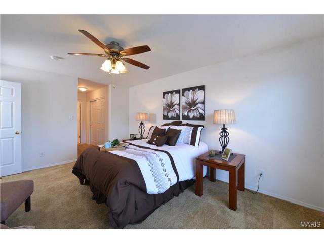 1356 Parkview Ests, Ellisville, MO 63021 photo 8