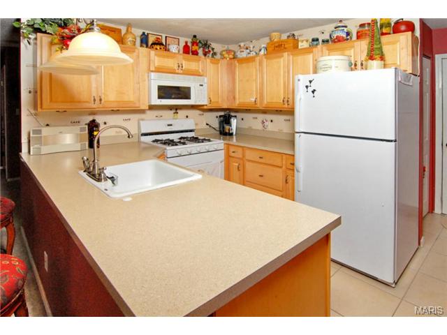 1025 Pocono, Ballwin, MO 63021 photo 13