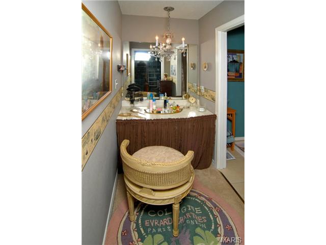 1025 Pocono, Ballwin, MO 63021 photo 18