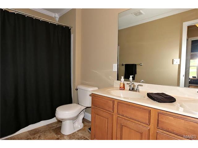 38 Brushy Brook Ct, O'fallon, MO 63366 photo 22