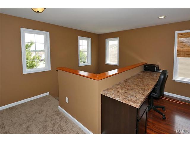 38 Brushy Brook Ct, O'fallon, MO 63366 photo 17
