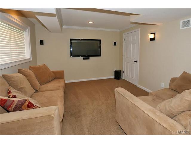 38 Brushy Brook Ct, O'fallon, MO 63366 photo 13