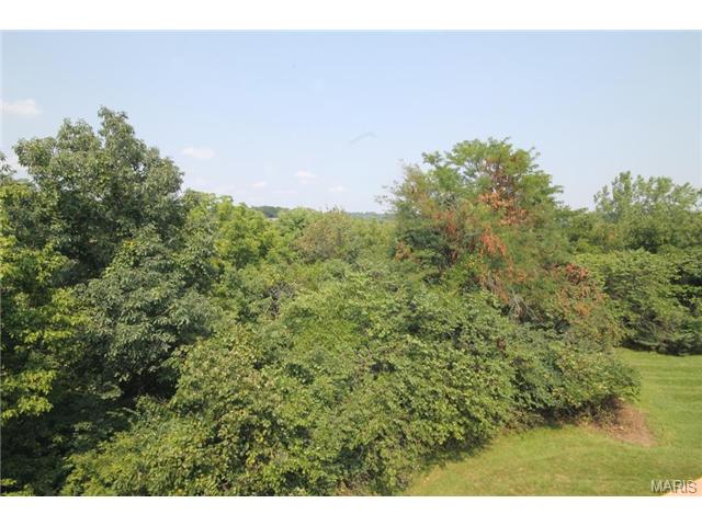 607 Highview Circle Dr, Ballwin, MO 63021 photo 22