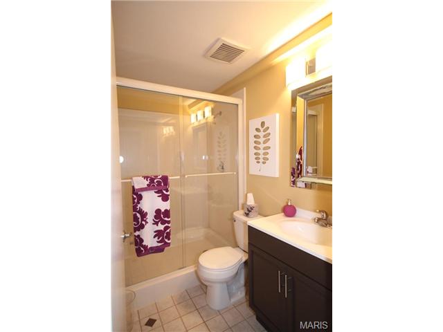 607 Highview Circle Dr, Ballwin, MO 63021 photo 19