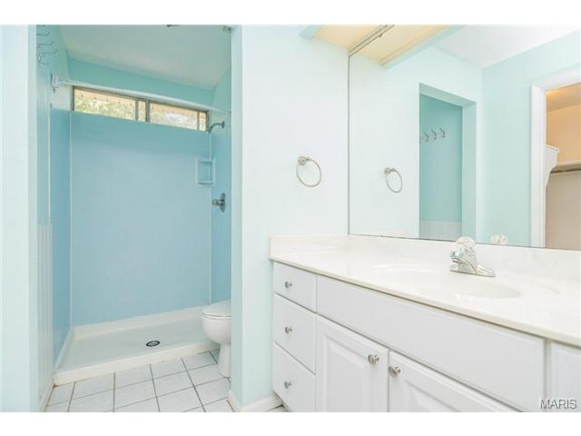 741 Agean, Ballwin, MO 63011 photo 43