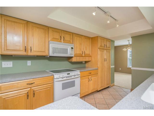 741 Agean, Ballwin, MO 63011 photo 20