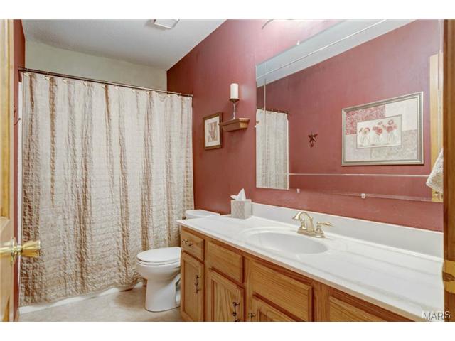 232 Cleta Ct, Ballwin, MO 63021 photo 27